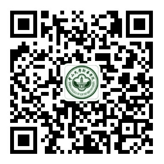 2138CC太阳集团